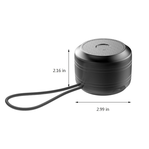 Bärbar högtalare Bluetooth-högtalare Trådlös högtalare Bluetooth 5.0 Minihögtalare  (ZYH) Black