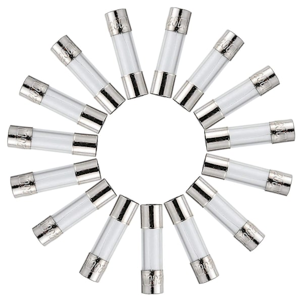 F10al250v 5x20 Mm 10a 250v Snabba Smältande Säkringar 10 Ampere 250 Volt 0,2 X 0,78 Tum Glasrörssäkringar (Förpackning Om 20 Stycken)  (ZYH)
