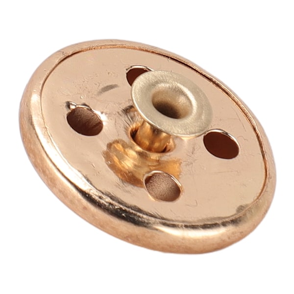 100 set svampnitar nitar dubb 25mm DIY pläterad järnkon spikar och nitar svampspets huvudnit dubb för reparation av läder guld  (ZYH)
