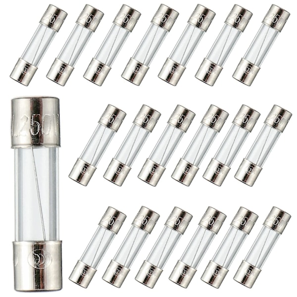 F10al250v 5x20 Mm 10a 250v Snabba Smältande Säkringar 10 Ampere 250 Volt 0,2 X 0,78 Tum Glasrörssäkringar (Förpackning Om 20 Stycken)  (ZYH)
