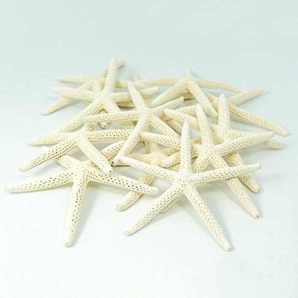 12 st White Finger Starfish 5-10cm Dekorativ Five-finger Starfish (DPD)