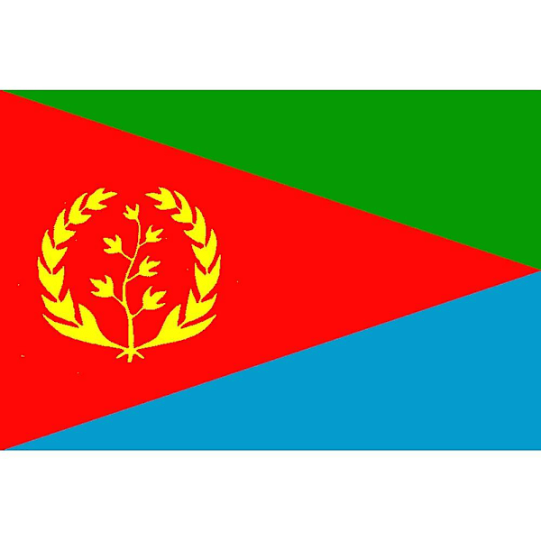 Custom Eritrea Flag Banner 90x150cm  Polyester Hanging Eritrean National Flags  For Decoration  (ZYH)