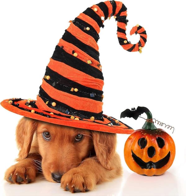 Halloween Græskar Mini Kunstig Skum Græskar Dekoration til Hjem og Have, 5,5 cm