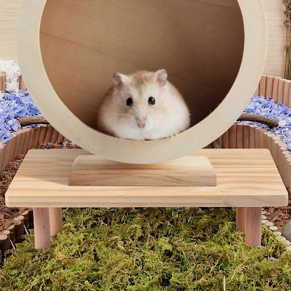 Hamster Platform Hamsterbur