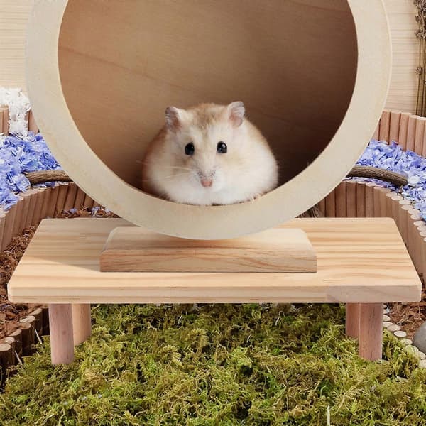 Hamsterin taso, hamsterin häkki