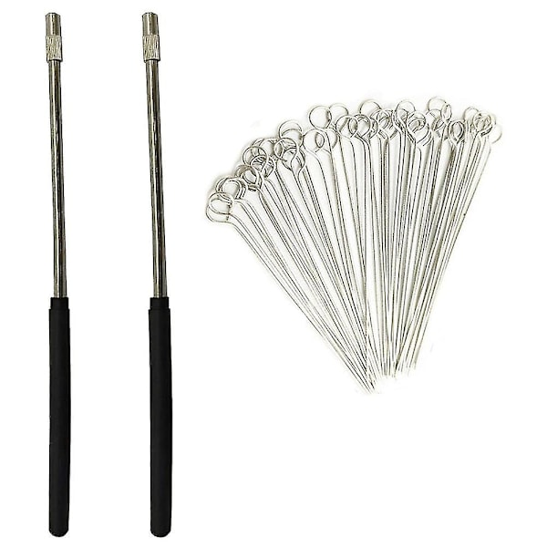 2 st återanvändbara ympningsögleshållare med 50 st 10ul Nichrome nålspetsar ympningsögla för La  (ZYH) BlackSilver
