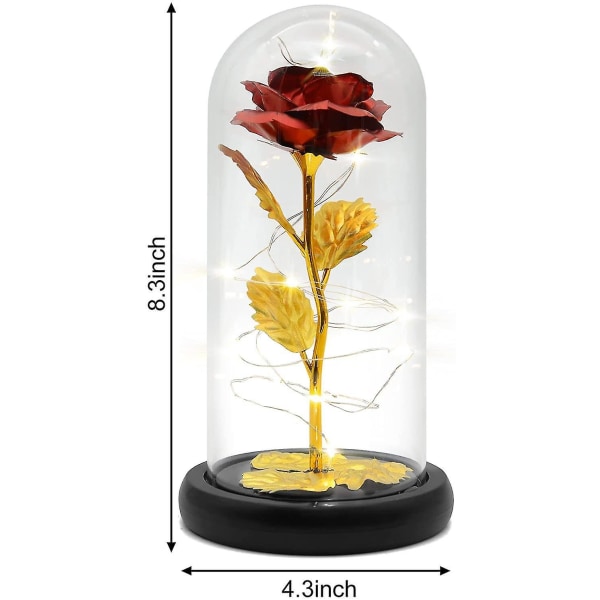 Beauty And the Beast Rose Glass In Forever And Eternal Rose Flower (DPD)