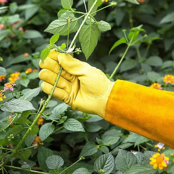 Lange læderhavehandsker til kvinder og mænd, tornsikre handsker