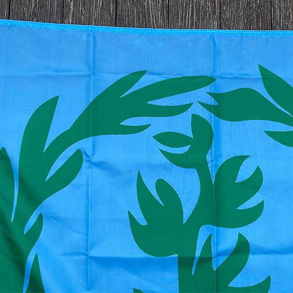 Anpassad flagga 90*150 cm Eritreas historiska flagga 1952-1962 ) Storlek Juldekorationer för hemflaggbanner (ZYH) Blue and White Stripe 120 x 180cm