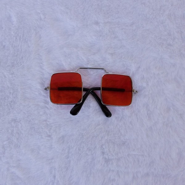 Dukkebriller Kjæledyrsbriller RØD red