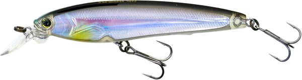 Hängande grundgående crankbait