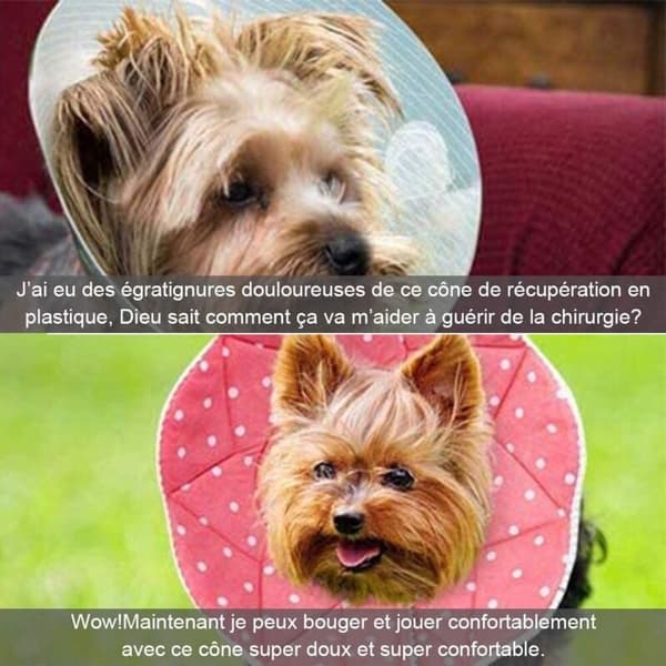 Bekväm krage efter operation för katter och hundar, robust, rep- och bitresistent, med justerbar fastsättning