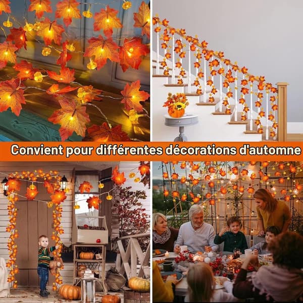 Thanksgiving og Halloween Lyslenke, 3 Meter, 20 LED, Høstdekorasjon