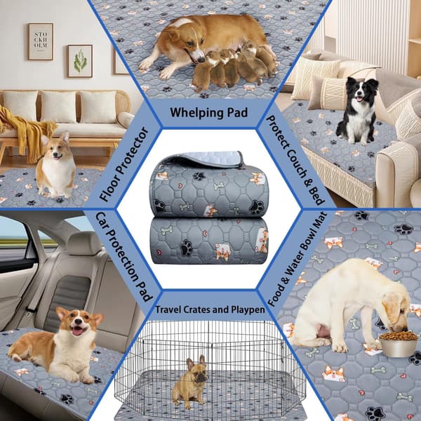 CarpetEReusable vaskbare hundetreningsputer, 2-pakning, ultraabsorberende puter, kjæledyrurinputer - 45x60cm