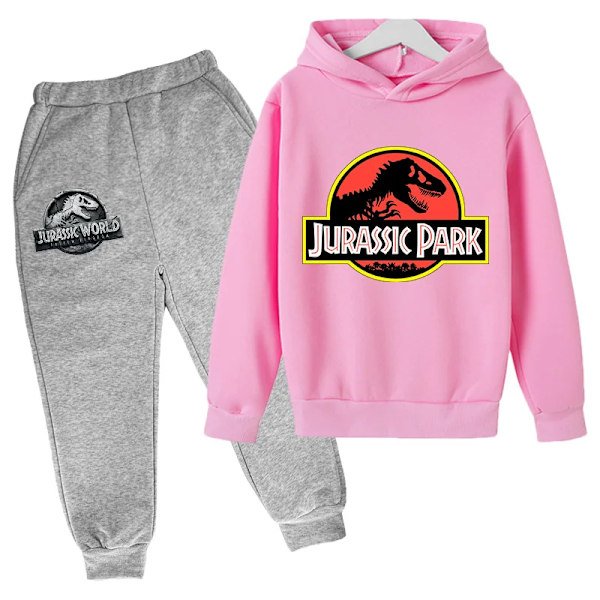 Jurassic Park Dinosaurer Barn Klær Hettegensere + Sett Gutter Jenter Feriegave Genser Vår Høst Frakk Sportsklær Rosa Pink 110 cm