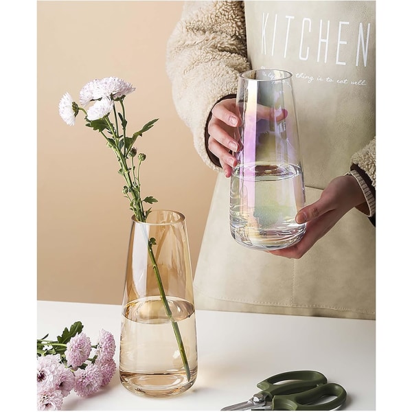 Ins Moderne Glass Vase Iridescent Krystallklar Glass Vase for Hjem