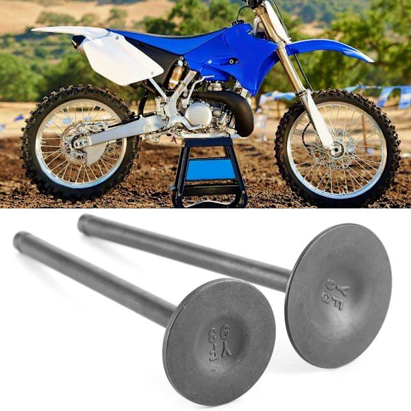 Par Motorhode Inntaks Eksosventil Deler Passer for SHINERAY ZHONGSHEN ZSCB 250cc
