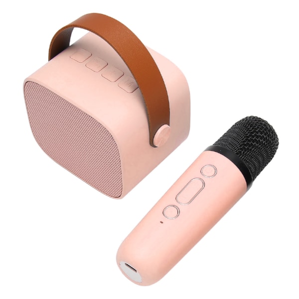 Mini Karaoke Maskinsett Støtte Bluetooth AUX USB-minnekort Bærbar Bluetooth-høyttaler med trådløs mikrofon Rosa