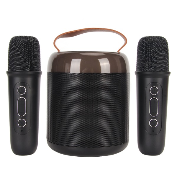 Trådlösa karaokehögtalare RGB Light Bluetooth5.3-högtalare med 2 trådlösa mikrofoner Bärbar karaokemaskin för familjefest Svart