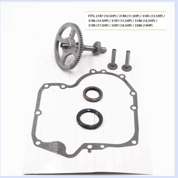 793880 Briggs & Stratton 793583 792681 791942 795102 Vevhuskamaxelsats 84005207 Kamaxelbyte