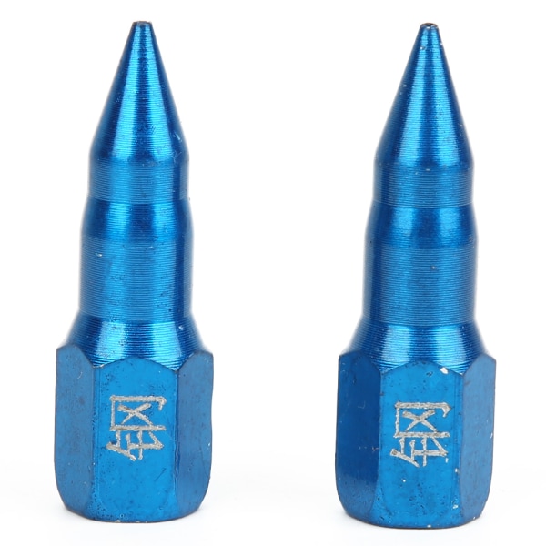 2 st fettpistolmunstycke helt i stål nålspetsdispenser fettpistoltillbehör (blå)