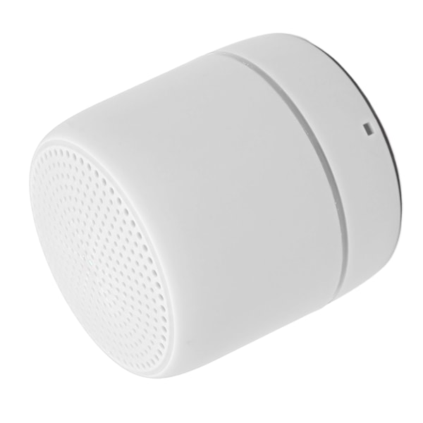 Bluetooth 5.0 Minihögtalare Klar Stereo Rik Bas Bärbar Trådlös Högtalare för Utomhus Vit