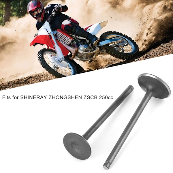 Par Motorhode Inntaks Eksosventil Deler Passer for SHINERAY ZHONGSHEN ZSCB 250cc