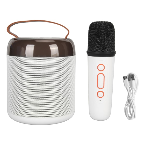 RGB-högtalare 16 lätta pärlor Lätt kompakt, bärbar Bluetooth högtalare med trådlös mikrofon för Home White