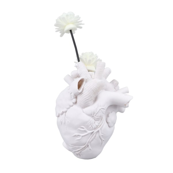 Luovat anatomiset sydänmaljakot Hartsi Veistos Sydämen muotoinen taide Kukka Maljakot Työpöydän kodin sisustus Olohuoneeseen Valkoinen
