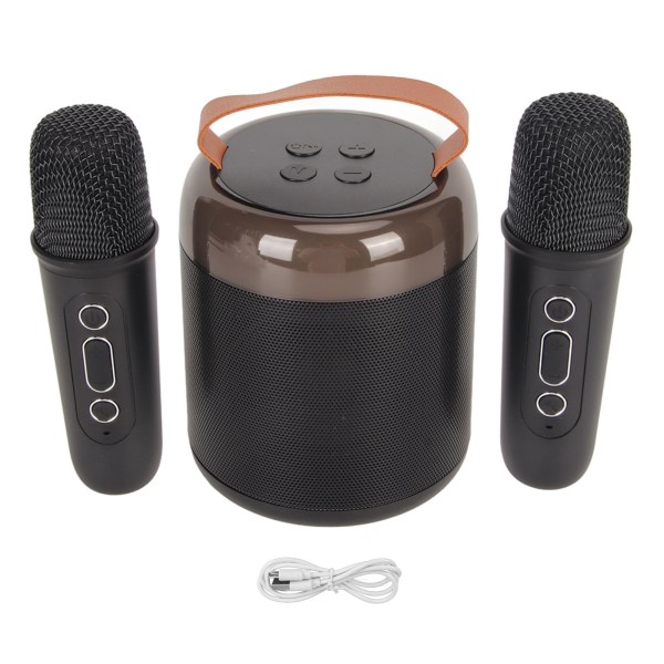 Trådløse karaokehøjttalere RGB Light Bluetooth5.3 højttaler med 2 trådløse mikrofoner Bærbar karaokemaskine til familiefest Sort
