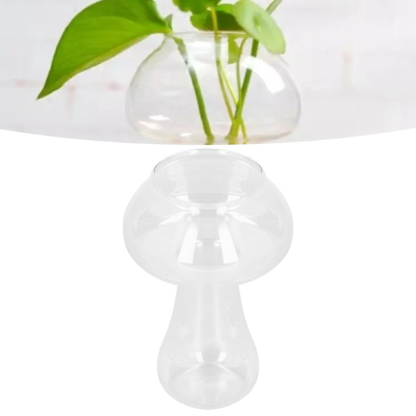 Klar glasvasflaska med hög temperaturbeständighet Svamputseende Glasvas för presenter Kontorshem Dekoration