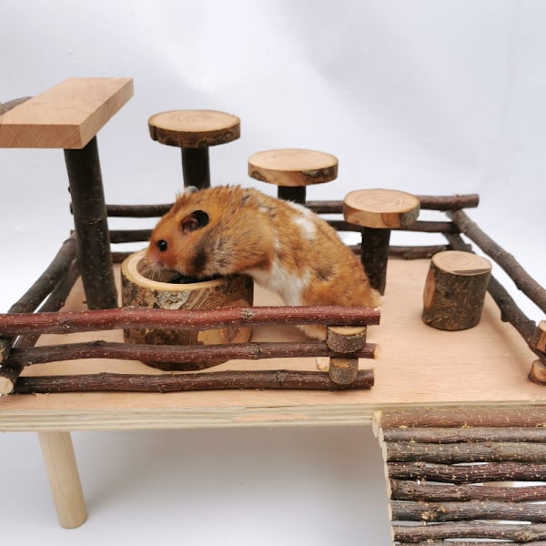 Hamster Trä Mat Skål Smådjur Matningsfat för Hamster Dvärg Syrisk Gerbil Möss Degu Chipmunk Igelkott