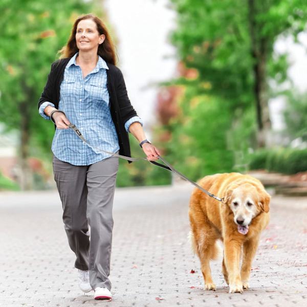 4 FT Heavy Duty Hundekobbel med 2 komfortable polstrede håndtak, trafikkhåndtak og avansert enkel snørekrok, reflekterende gåbånd for store, mellomstore og S Grey4FT 4 Feet (Pack of 1)