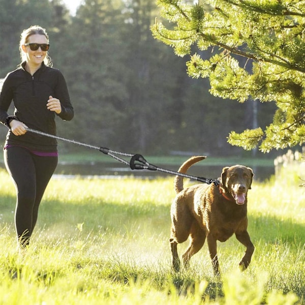 Hundehalsbånd, 5 FT Heavy Duty Dobbelthåndtak Hundehalsbånd med Komfortabel Polstret og Reflekterende, Tau Hundehalsbånd for Små, Mellomstore, Store Hunder (Tau-Svart) Black Large,Medium,Small