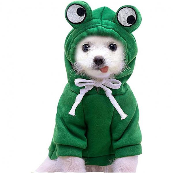 Hundtröja - Söt grodformad varm jacka Husdjur Kläder för kallt väder Set Rock Katt Valp Liten Stor Hund (grodsweater) XS