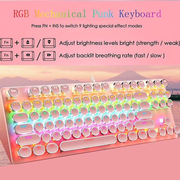 Mekaniskt Speltangentbord, 87 Tangenter Retro Punk Skrivmaskinstil, Blå Switch Regnbågsbelyst Tangentbord, Anti-Ghosting, USB-trådbunden pink