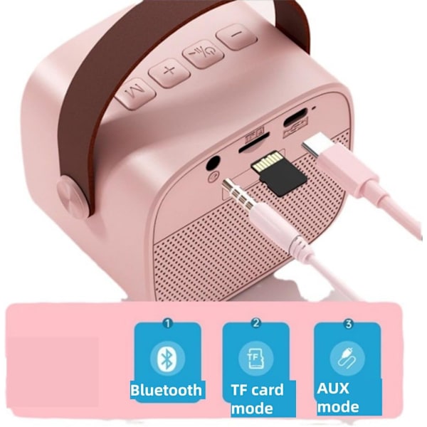 Bluetooth K-sång ljudkaraoke med mikrofon split trådlös ljud bärbar barnfamilj KTV mini set stöd AUX,TF-kort, ljudändring