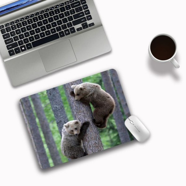 Ultra İnce Medium Gaming Mouse Pad (200*240*3mm Yüzey, Dayanıklı Polikarbonat Yüzey, Silikon + Kumaş Desen: Panda) Gri