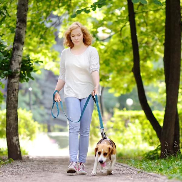 5 FT Heavy Duty Hundekobbel med 2 komfortable polstrede håndtak, trafikkhåndtak og avansert enkel snappkrok, reflekterende gåledning for store, mellomstore og S Blue5FT 5 Feet (Pack of 1)