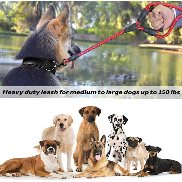 Hundehalsbånd, 5 FT Heavy Duty Dobbelthåndtak Hundeleie med Komfortabel Polstret og Reflekterende, Tau Hundeleier for Små, Mellomstore, Store Hunder (Tau-Rød) Red Large,Medium,Small