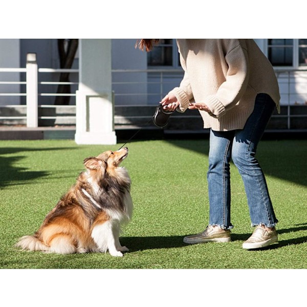 Inrullbar hundkoppel, 16 fot hundpromenadkoppel för medelstora hundar upp till 44 pund, trasselfri, vit & rosa White M Medium