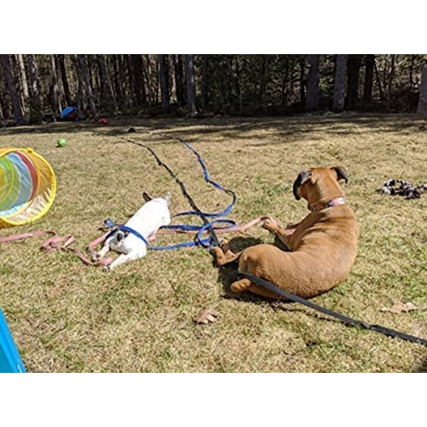 Hundetreningsbånd Lang Line Valpetrening Tilbakekallingsbånd for Hunder, Flott for Lek Camping Strand Bakgård (L 30Ft, Svart)