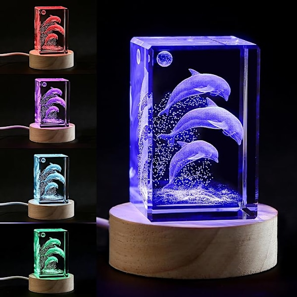 3D Krystall Delfin Figur Nattlys med LED Lys Base, Bursdagsgave til Barn Kvinner Unik, Thanksgiving Jul