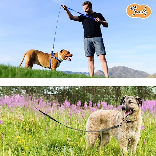 Hundetreningsbånd Lang Line Valpetrening Tilbakekallingsbånd for Hunder, Flott for Lek Camping Strand Bakgård (L 30Ft, Svart)