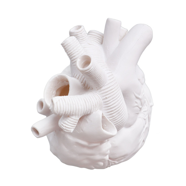 Kreative anatomiske hjertevaser i harpiks, skulptur i hjerteform, kunstneriske blomstervaser, skrivebordsdekorasjon for stue White