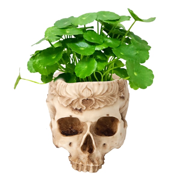 Kraniet Blomsterpotte Planter Resin Kunsthåndværk Personlige Hjemmeindretning Bar Ornamenter