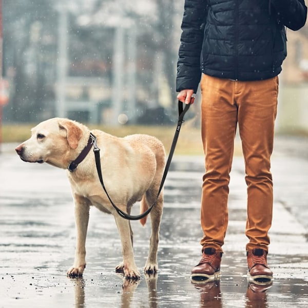 5 FT Heavy Duty Hundekobbel med 2 komfortable polstrede håndtak, trafikkhåndtak og avansert enkel snappkrok, reflekterende gåledning for store, mellomstore og S Black5FT 5 Feet (Pack of 1)