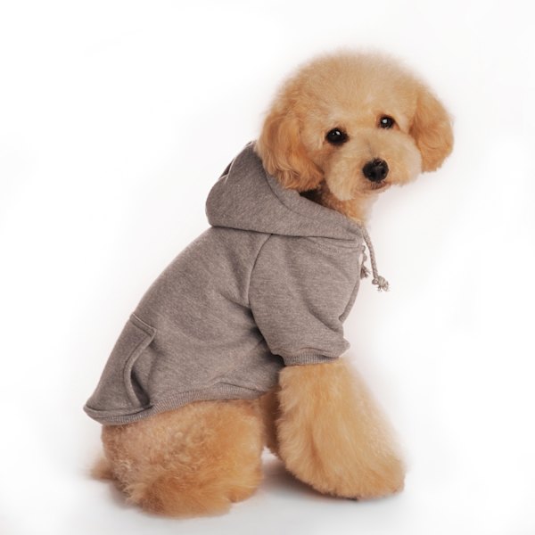 Hundehættetrøje Hunde Tøj Sweater med Hat, Kæledyr Vintertøj Varm Hættetrøje Frakke Sweater til Hvalp Chihuahua (grå) L