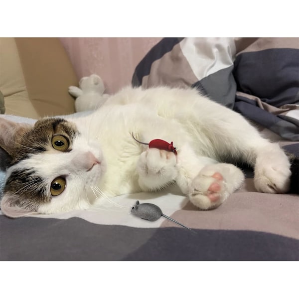 3 st kattmusleksak, flockande pipande musleksak för katt, 3 färger mjuka små kattleksaker för inomhuskatter, interaktiv kattleksak för katter och kattungar att fånga