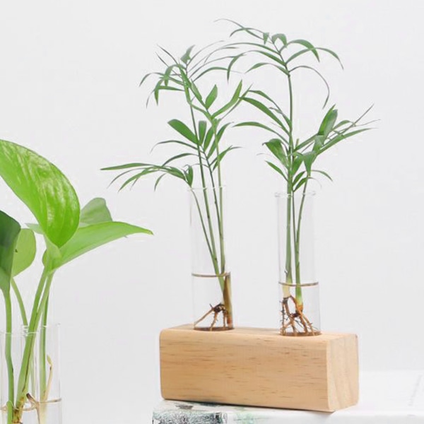 Glasprovrör Blomkruka Hydroponisk Växt Vas Terrarium Behållare Heminredning med Ställ